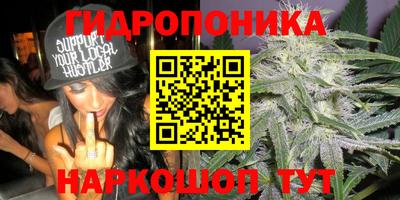 ешки Моздок